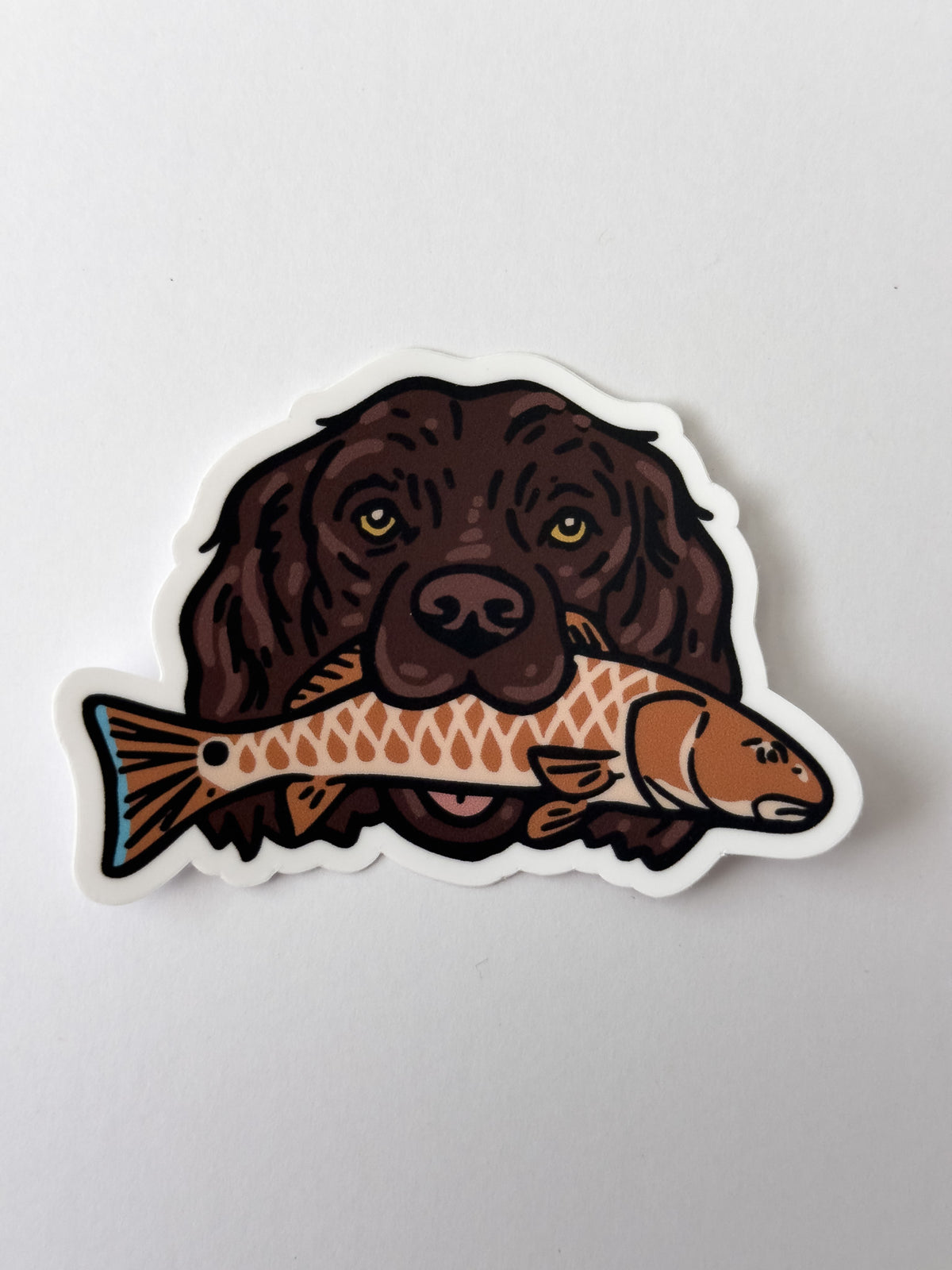 Boykin + Redfish Sticker