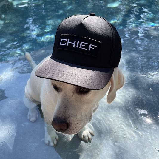 CHIEF Logo Hat